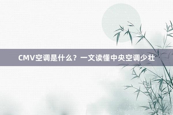 CMV空调是什么？一文读懂中央空调少壮